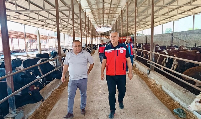 Hatay tarım ve Orman İl Müdürü Abdurrahman Türkmen, Hassa ilçesinde faaliyet gösteren