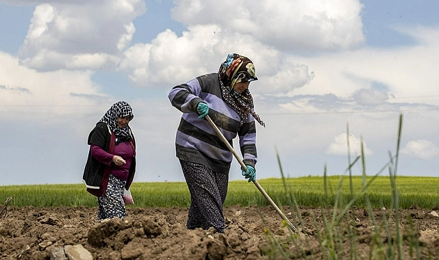 Ticaret Bakan Yardımcısı Mahmut Gürcan, sosyal medya hesabından yaptığı açıklamada,