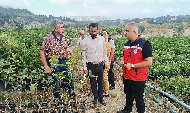 Hatay Tarım Orman İl Müdürü Abdurrahman Türkmen, İl Müdür Yardımcısı