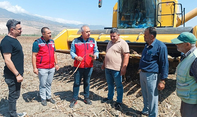 Hatay Tarım ve Orman İl Müdürü&nbsp;Abdurrahman Türkmen, Koordinasyon ve Tarımsal