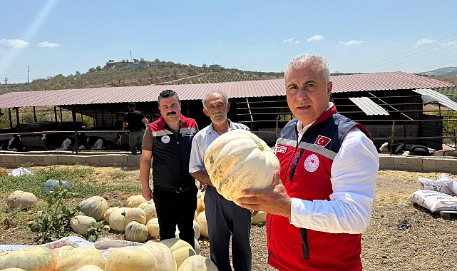 Hatay Tarım ve Orman İl Müdürü Abdurrahman Türkmen, Hatay’da coğrafi