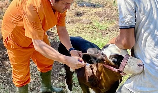 Hatay tarım ve Orman İl Müdürlüğü, son dönemde ülke genelinde görülen SAT-1