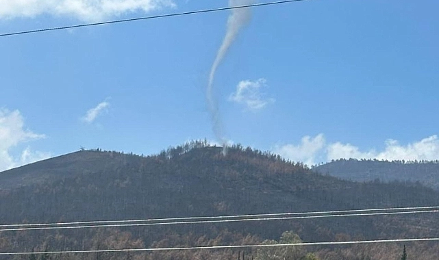 Serinyol Mahallesi’nde yaklaşık iki hafta önce çıkan orman yangınının ardından