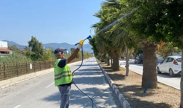Samandağ Belediyesi Park ve Bahçeler Müdürlüğü ekipleri, ilçe genelinde yürüttükleri