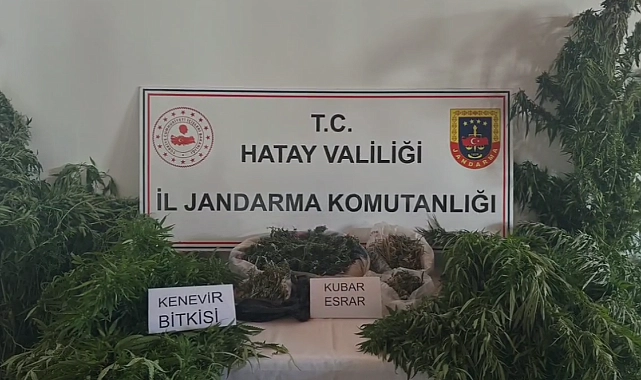 Hatay İl Jandarma Komutanlığı ekipleri, uyuşturucuyla mücadele kapsamında yürüttükleri çalışmalar