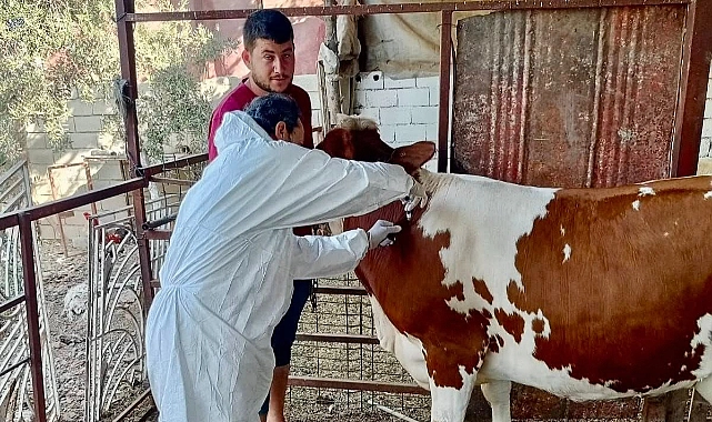 Hatay Tarım ve Orman Müdürlüğü, son dönemde ülkemizde görülen SAT-1