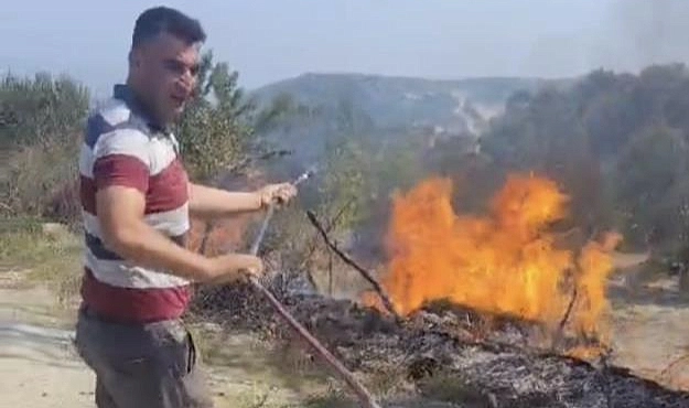 Yayladağı ilçesinde sıcak havanın etkisiyle kopan elektrik teli, otluk alanda