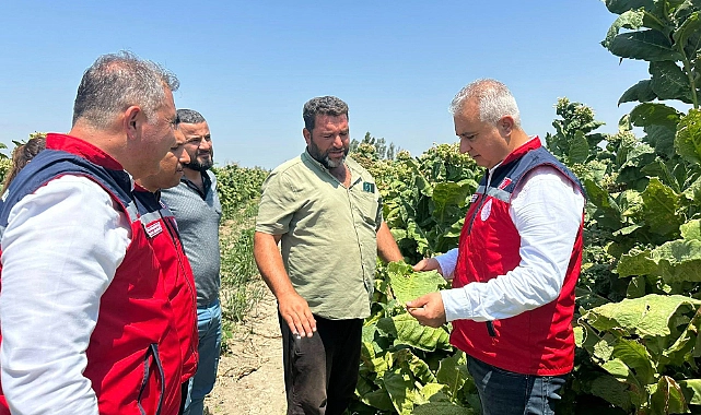 Hatay tarım ve Orman İl Müdürü Abdurrahman Türkmen, Antakya İlçe Tarım ve